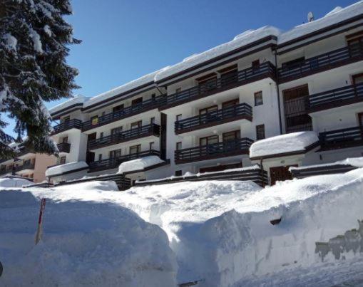Апартаменты La Finestra Sul Brenta Con Posto Auto Privato Al Centro Di Mad Di Campiglio Cipat O22233-At-O13262 Фольгарида Экстерьер фото